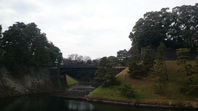2016-01-17 12.28.55.jpg