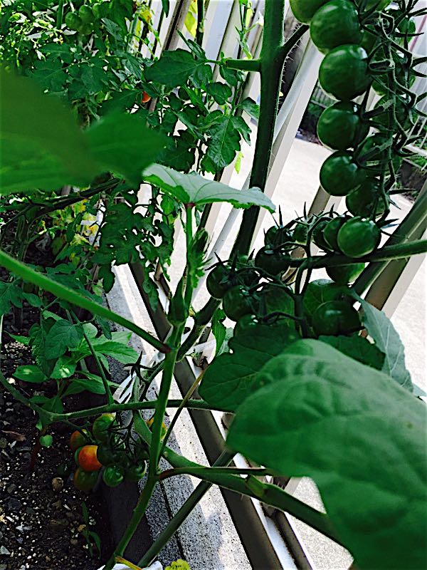 rblog-20150713123337-02.jpg