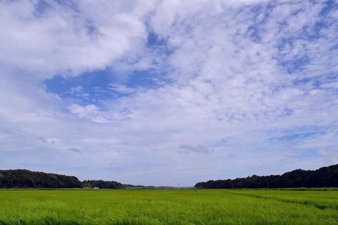 風景