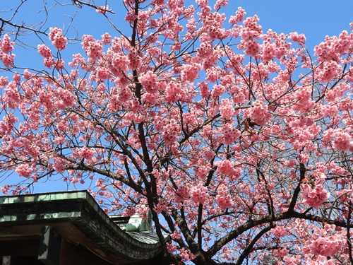 荏原神社にて