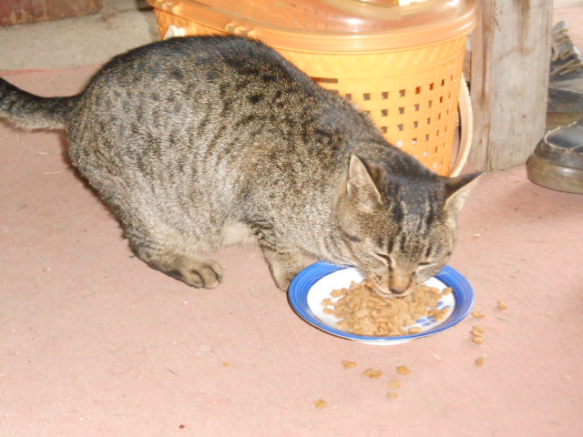 DSCN0891.JPG