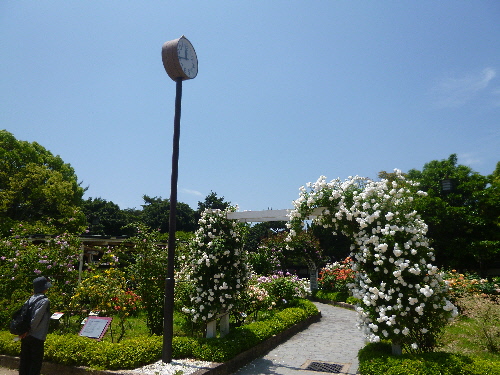 P1100701(1).JPG