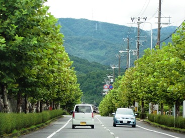 yama333.jpg