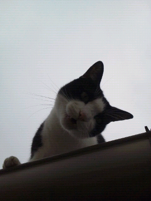rblog-20130929133227-01.png
