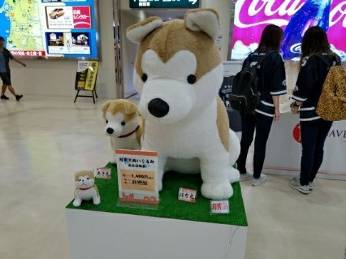 rblog-20180728221049-05.jpg