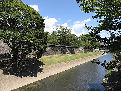 IMG_4727.jpg