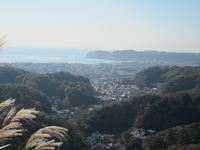 IMG_3893_R.JPG