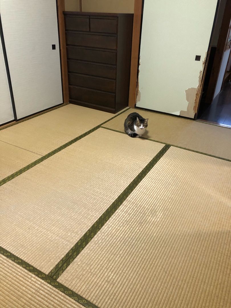 全捨離との出会い | 過去の記録色々 - 楽天ブログ
