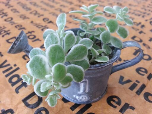 rblog-20140723201621-01.jpg