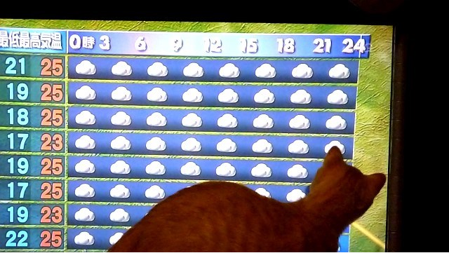 天気予報好き！