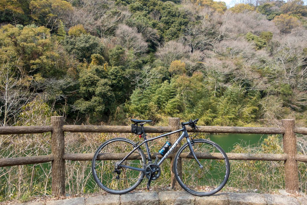 大人気クロスバイク GIANT ESCAPE R3で山を楽しむ | 健康 ダイエット ロードバイク 弱虫にはならないぞ!! - 楽天ブログ