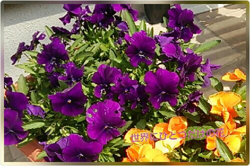 rblog-20160409174931-00.jpg