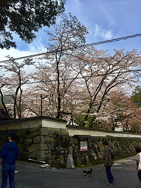 rblog-20170410075140-03.jpg