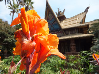 Flower147
