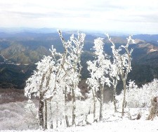 20120209高見山.jpg