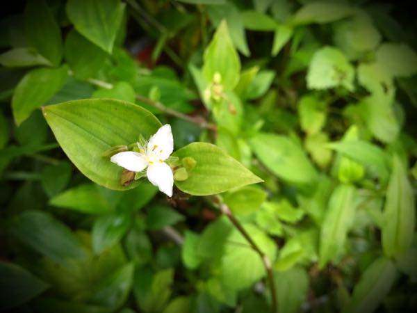rblog-20160630185335-05.jpg
