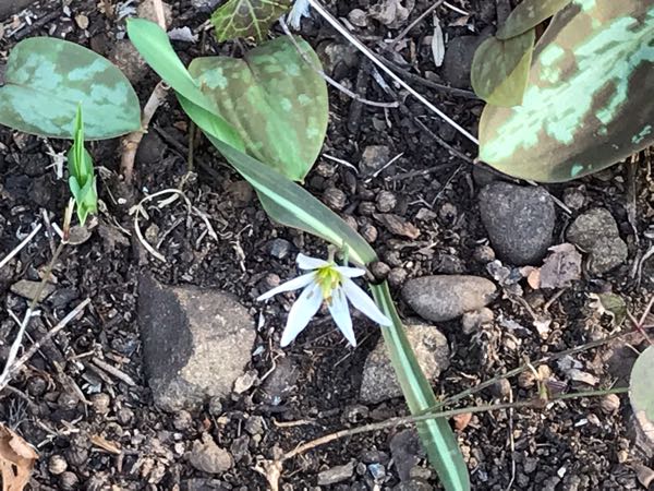 rblog-20190320171009-01.jpg