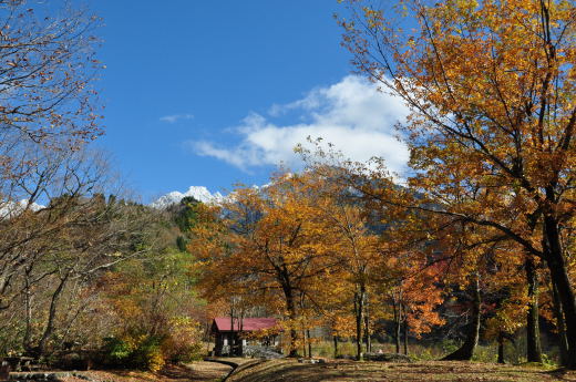 馬場島　紅葉