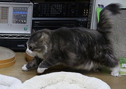 5DA_4397-19.jpg