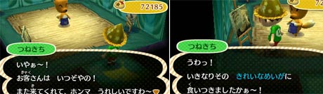 3ds とびだせどうぶつの森 373 つねきちさん ピンポイントplus 楽天ブログ