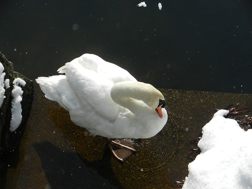 DSCN9722.jpg