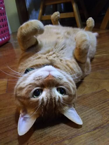 rblog-20180924214909-01.jpg