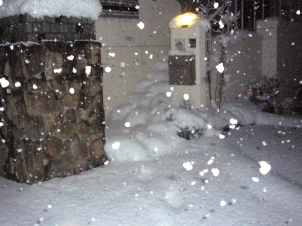 P1170357-.jpg