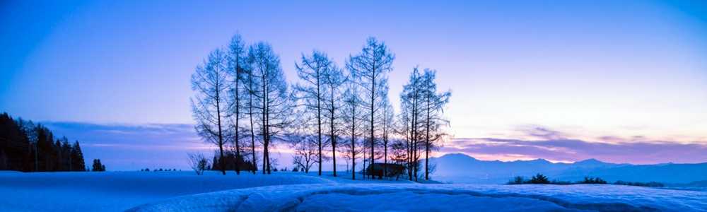 案山子のひとり言