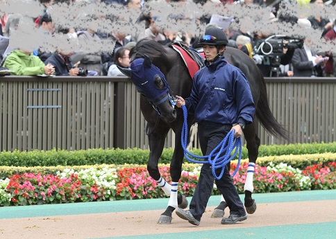 マイネルディアベル３.jpg