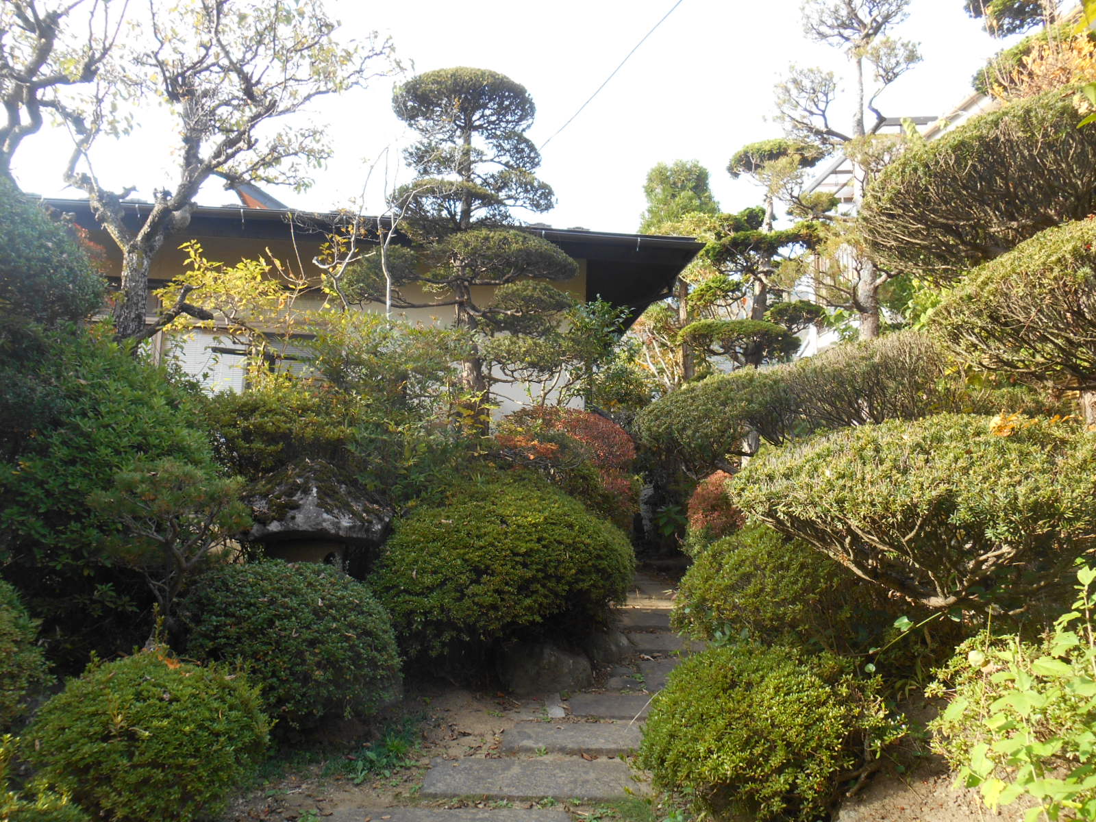 上田の家の庭
