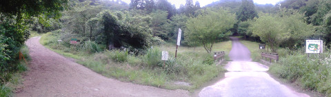 直進したら右の道にいく