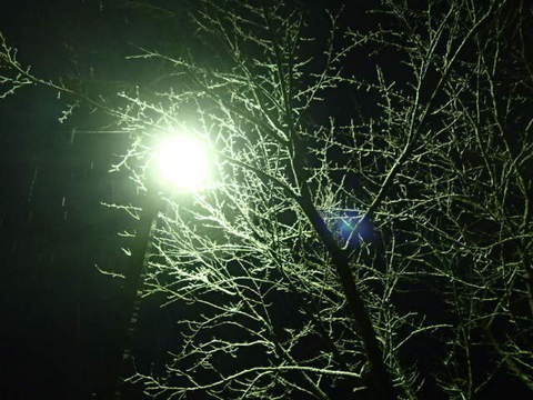 yuki131129003