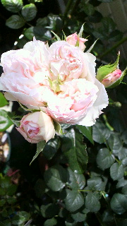 2013051811550000.jpg