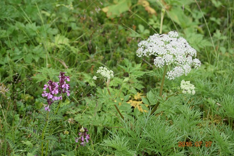 DSC_0018.JPG