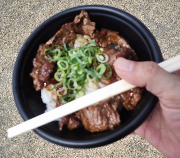 ハラミ焼肉丼