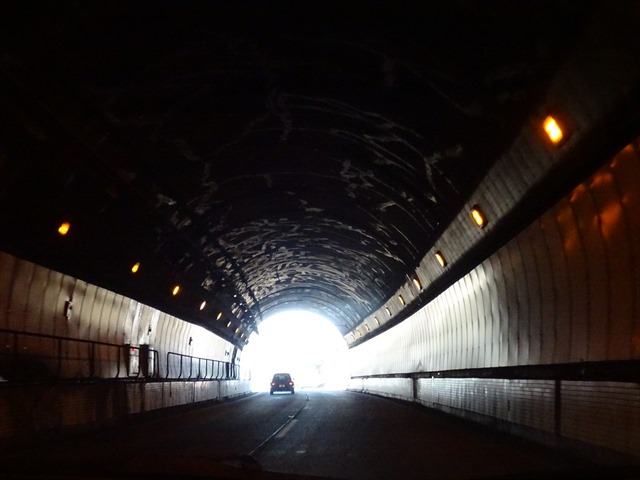 DSC00446_R.JPG