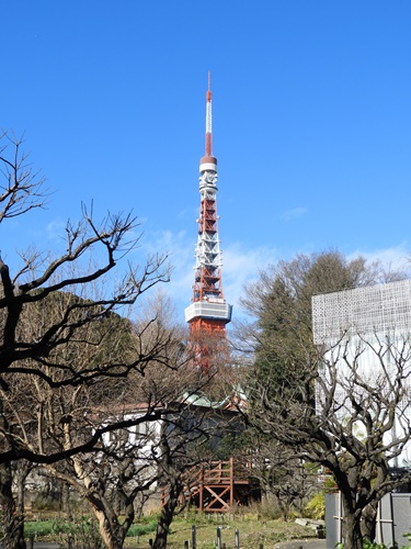 芝公園＆東京タワー