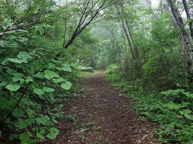 山道風景4.jpg