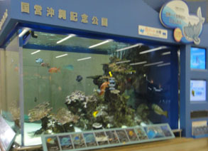 石垣65.jpg