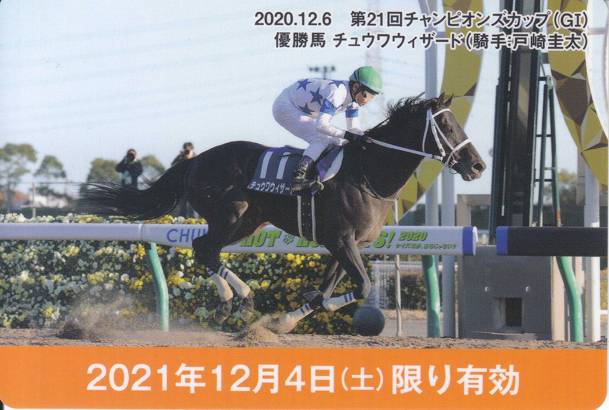 阪神競馬場GⅠレース記念入場券コンプリートブック2020の通販 by