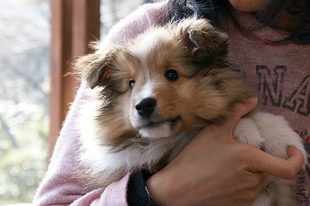DSC01117.jpg