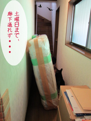20121213125320_w_300_h_400_5877282.jpg