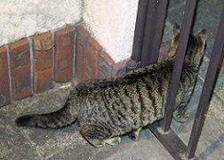 5DA_0045-12.jpg