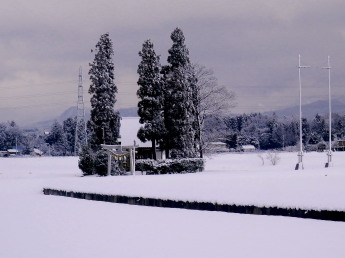 神社　2.13　2015