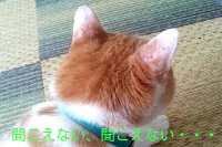 rblog-20130714153924-01.png