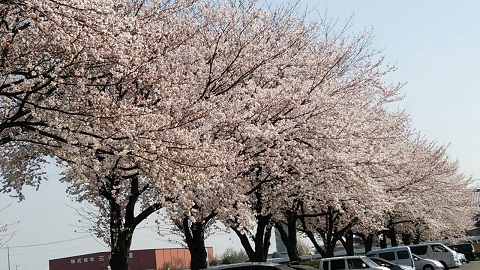 2015033102.jpg