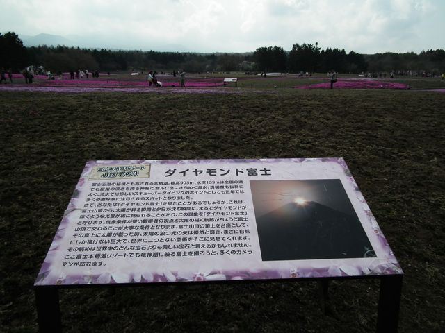 DSCF3808.JPG