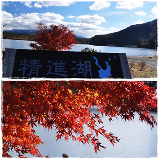 富士山2枚