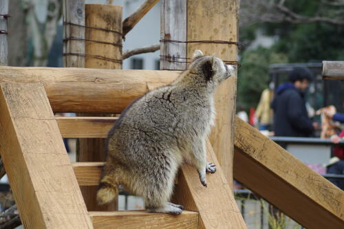 井の頭自然文化園