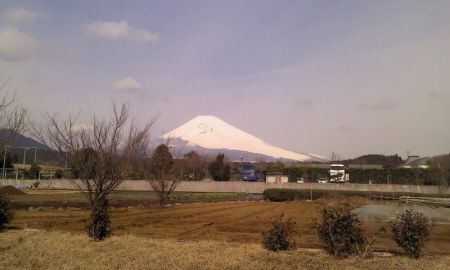 2012-03-16 10.33.55.jpg